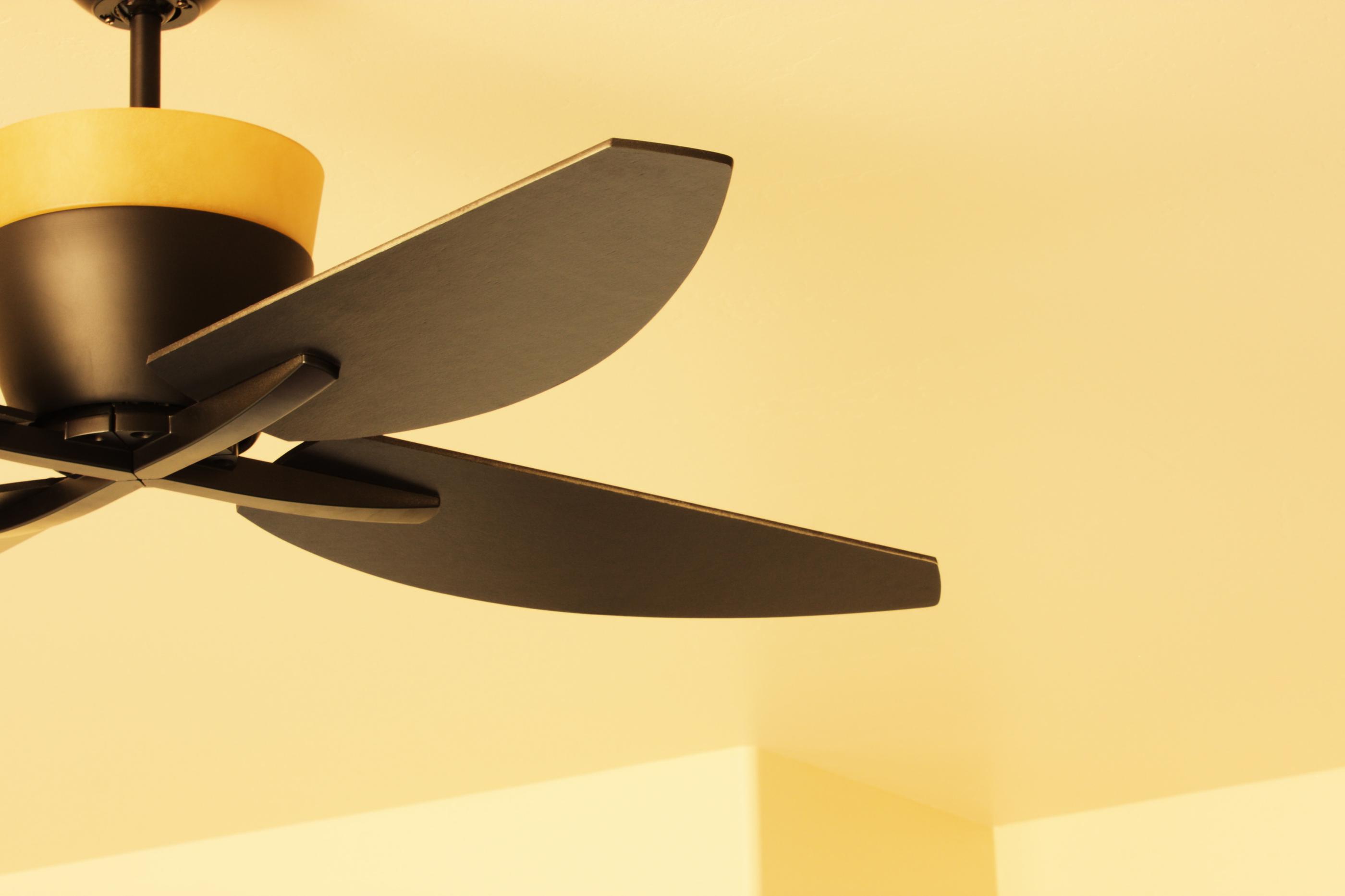 Cieling fan installed by Mister Sparky in Charleston