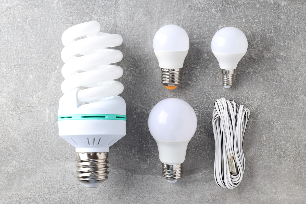 Types of Light Bulbs for Energy Efficiency